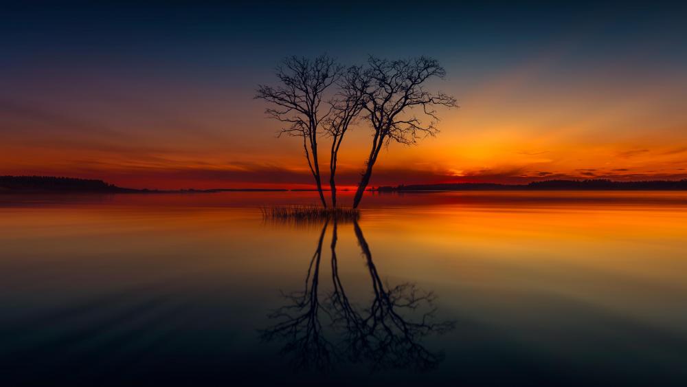 Sunset Serenity Over Tranquil Waters wallpaper