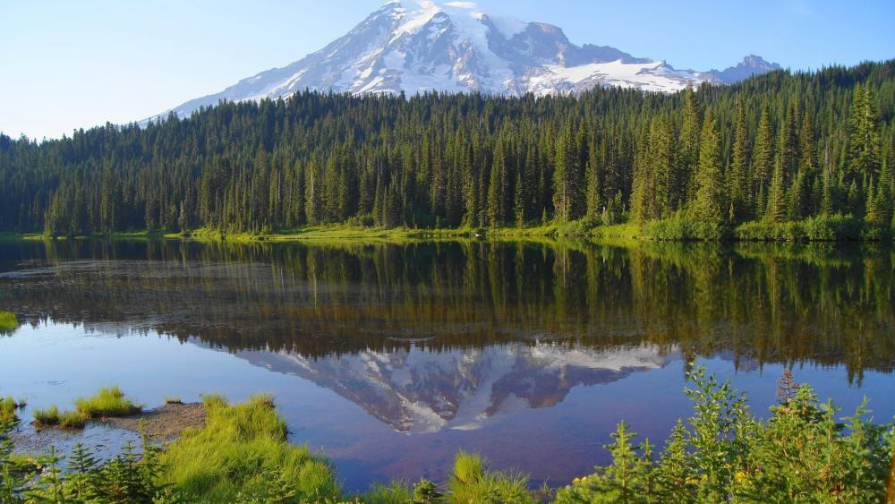 Mount Rainier National Park wallpaper