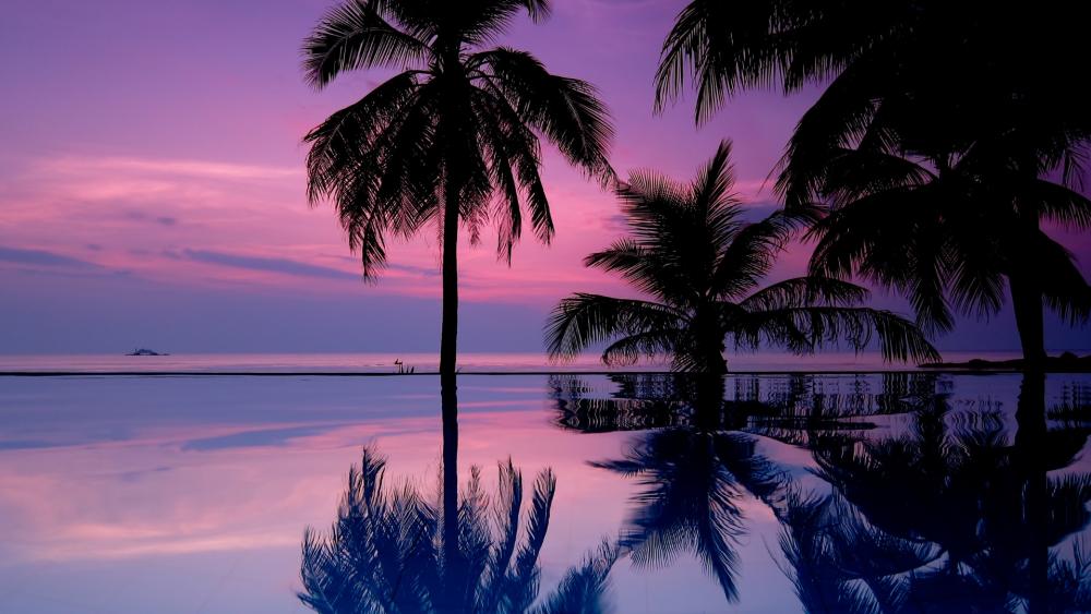 Tropical Sunset Serenity wallpaper