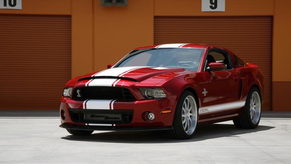 2014 Ford Shelby GT500 wallpaper