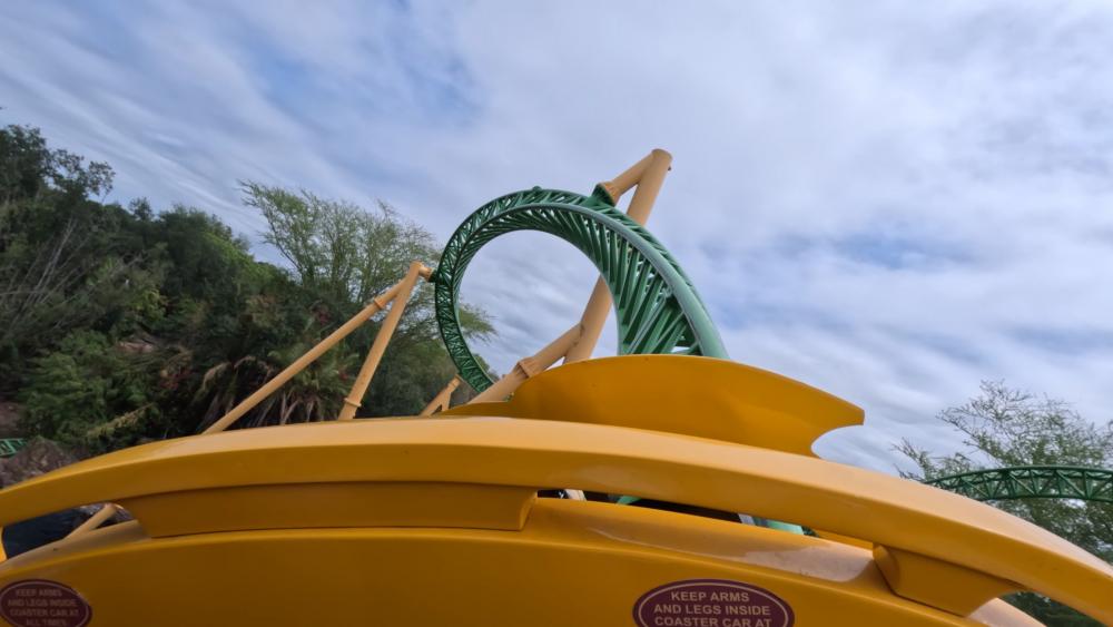 Rollercoaster Ride wallpaper