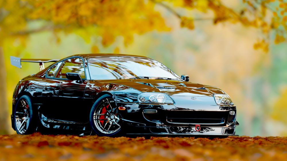 Gleaming Black Sports Car Amidst Autumn Hues wallpaper