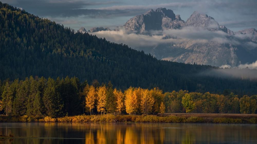 Oxbow Bend wallpaper