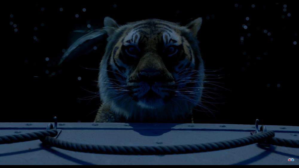 tiger wallpaper