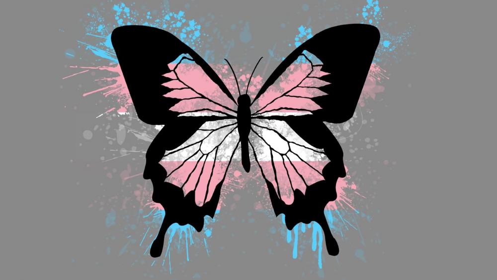 Special butterfly wallpaper