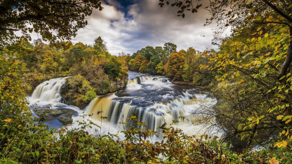 Clyde Valley Woodlands National Nature Reserve (Cartland Crags) wallpaper