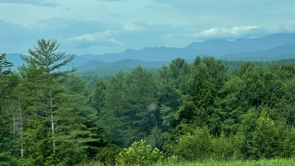 Majestic Mountain Landscape Surrounded by Lush Greenery wallpaper
