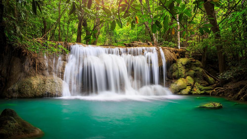 Enchanted Tropical Waterfall Serenity wallpaper