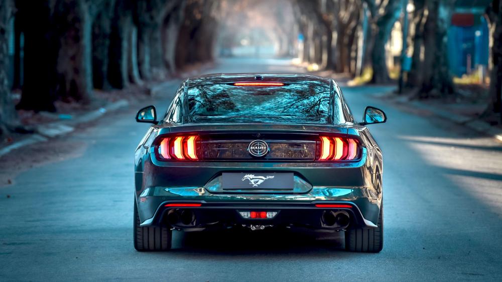 Majestic Ford Mustang Cruising Down the Road wallpaper