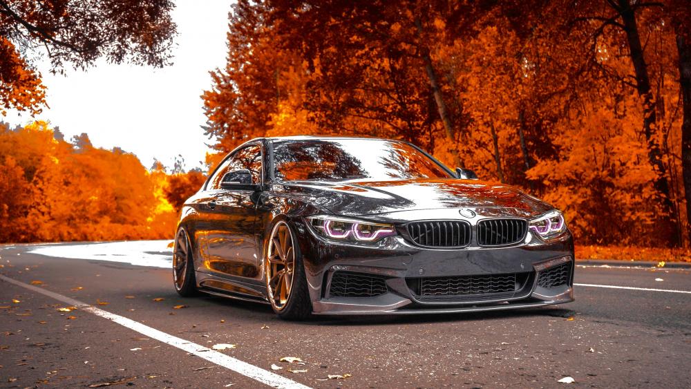 Sleek BMW in Autumn Bliss wallpaper