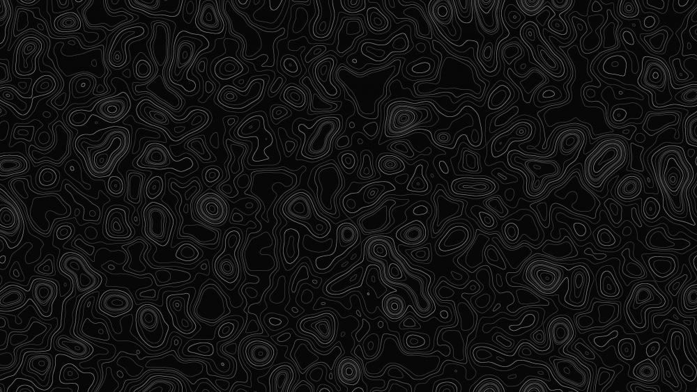 Intricate Black and White Abstract Maze wallpaper
