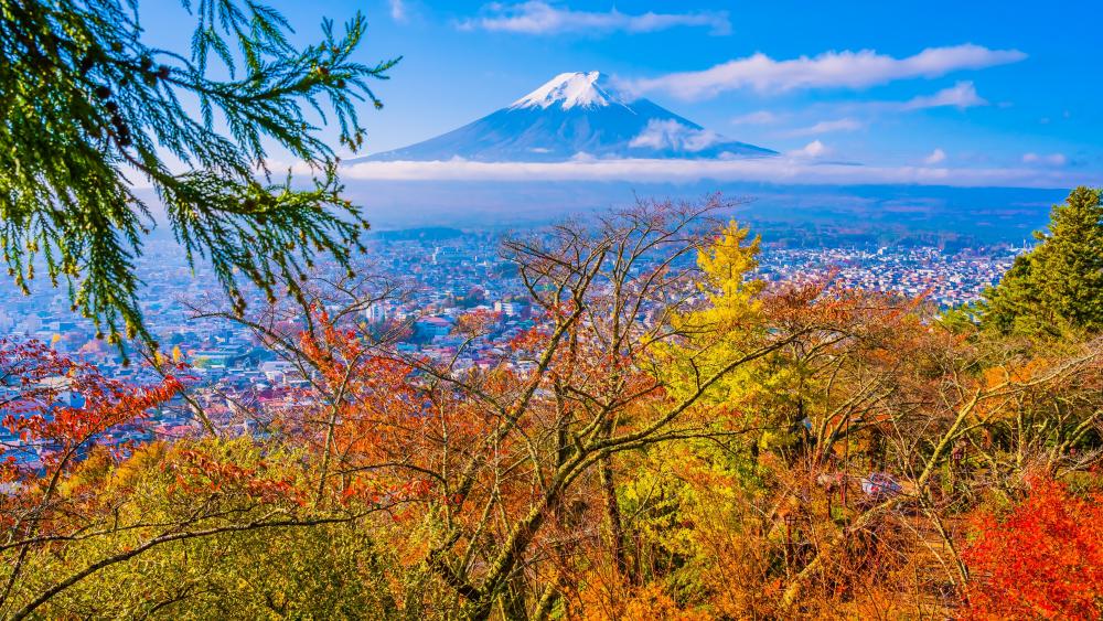 Fall landscape with Mount Fuji wallpaper