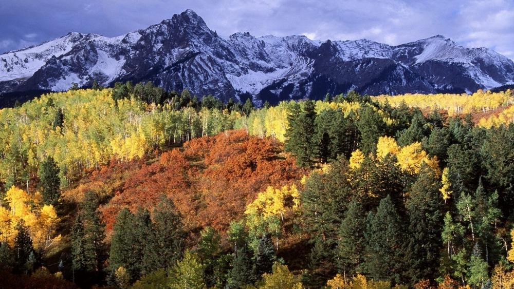 Majestic Mountain Landscape in Autumn Colors wallpaper
