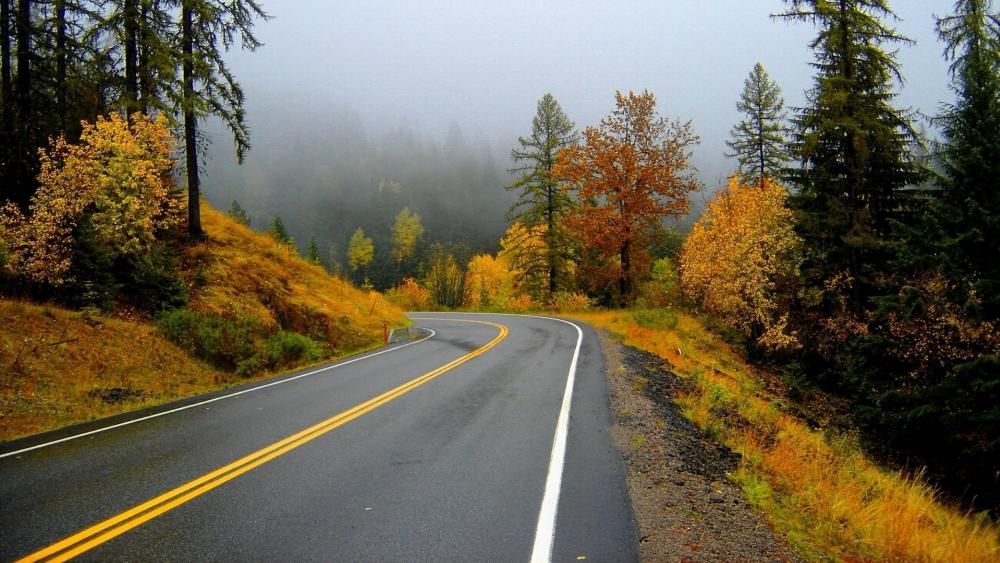 Autumn Road Through Misty Forest wallpaper