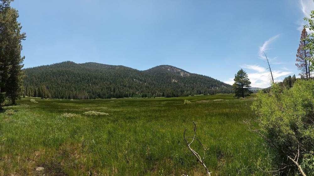 Tranquil Meadow Under Clear Blue Sky wallpaper
