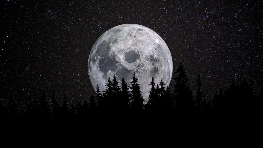 Supermoon Over Whispering Forest wallpaper