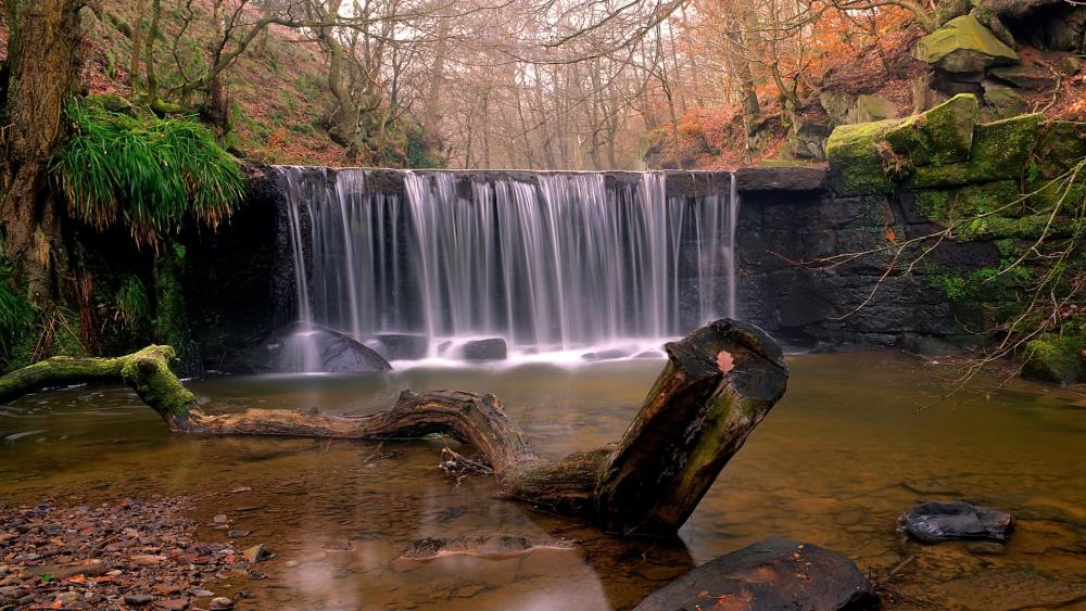 Tranquil Forest Waterfall wallpaper