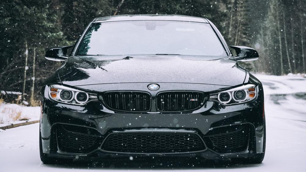 Winter Majesty with BMW in Snowfall wallpaper