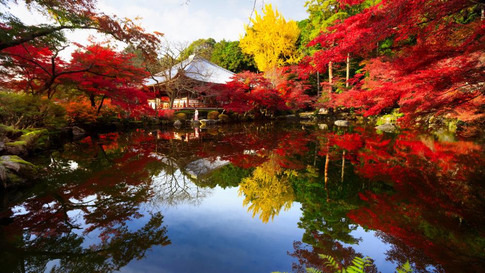 Colorful autumn landscape with the Daigo-ji Temple wallpaper