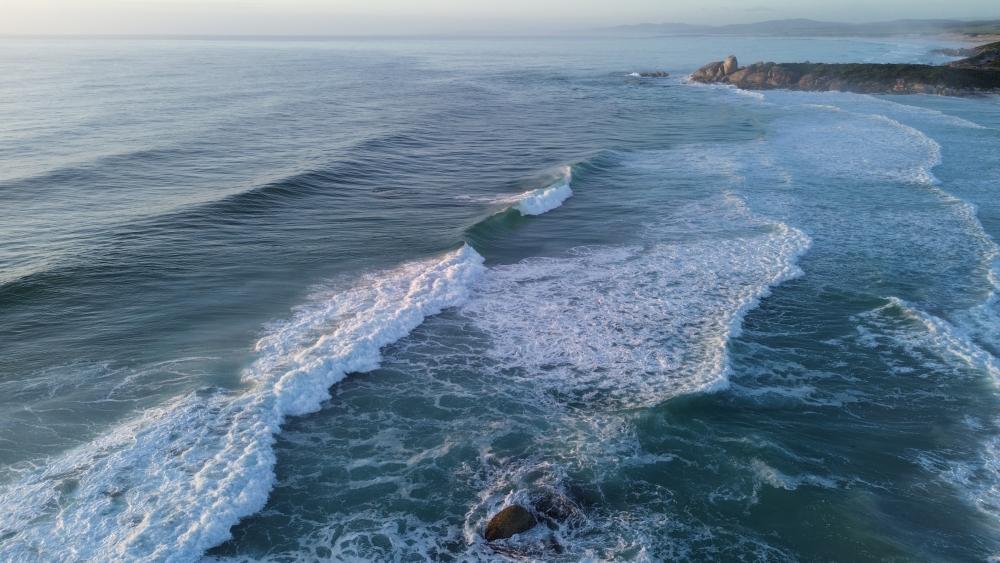 Lush Ocean Waves at Dawn wallpaper