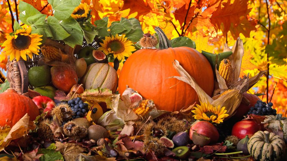 Autumn Harvest Vibrance wallpaper