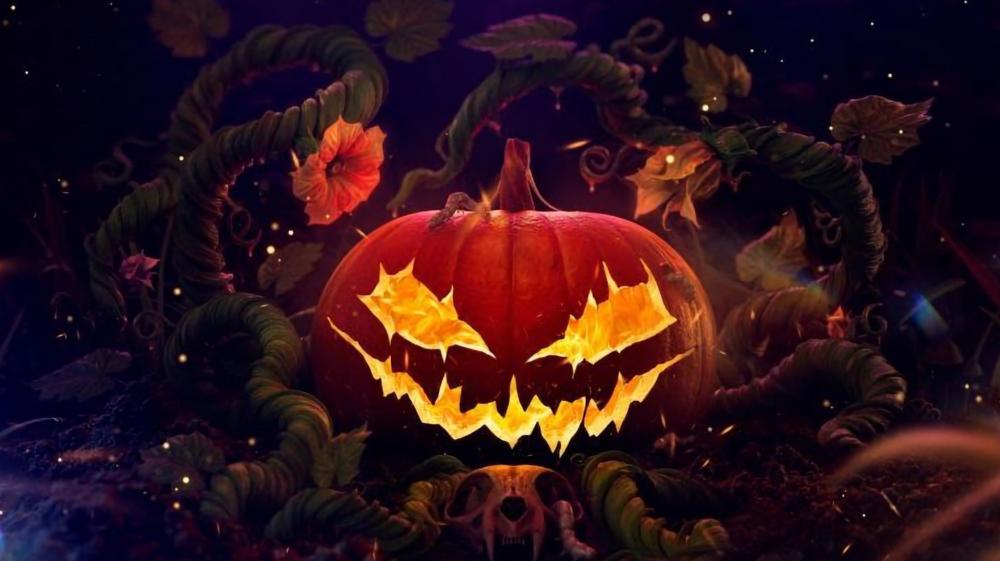 Enchanted Pumpkin in a Mystical Forest wallpaper