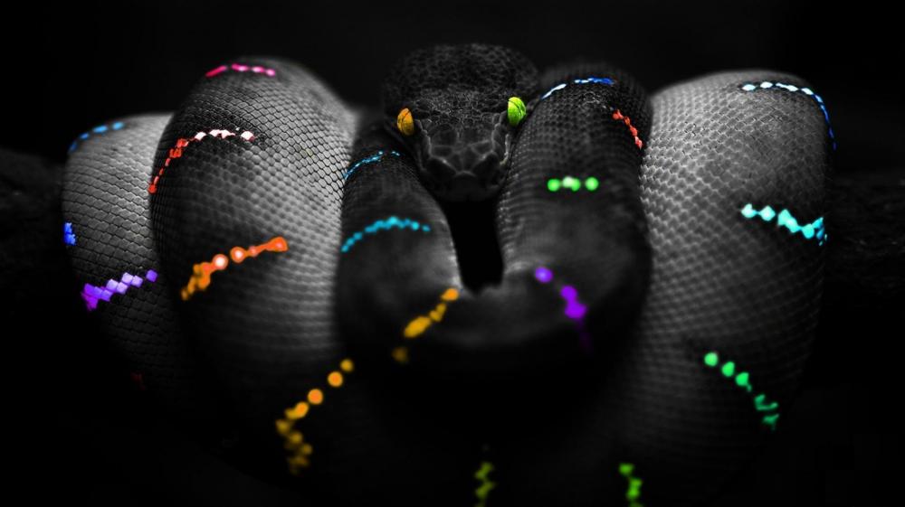 Ethereal Black Serpent in Neon Accents wallpaper
