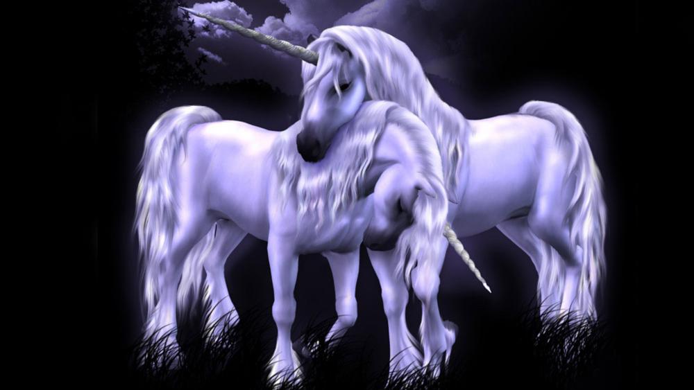 Mystical Unicorn Duo in Midnight Realm wallpaper