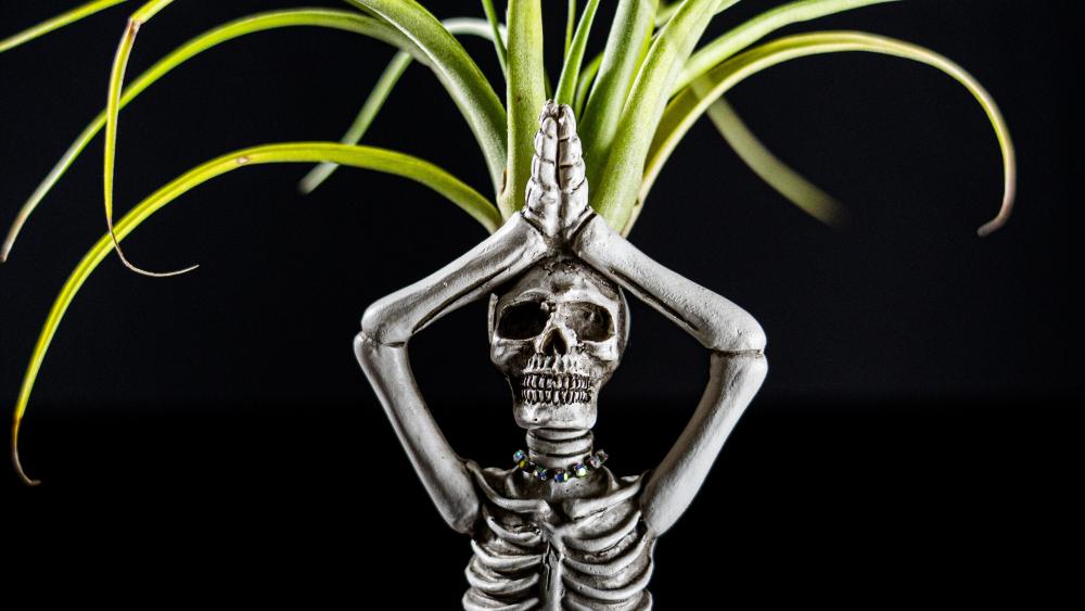 Funny Skeleton Embracing Nature's Growth wallpaper