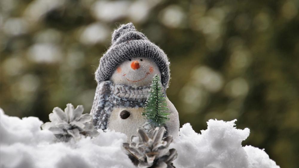 Winter's Charming Snowman Friend wallpaper