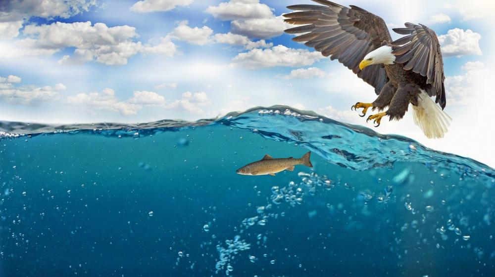 Majestic Eagle Meets Underwater World wallpaper