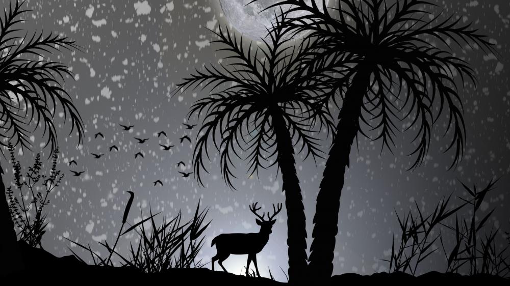 Silent Night in the Wild wallpaper