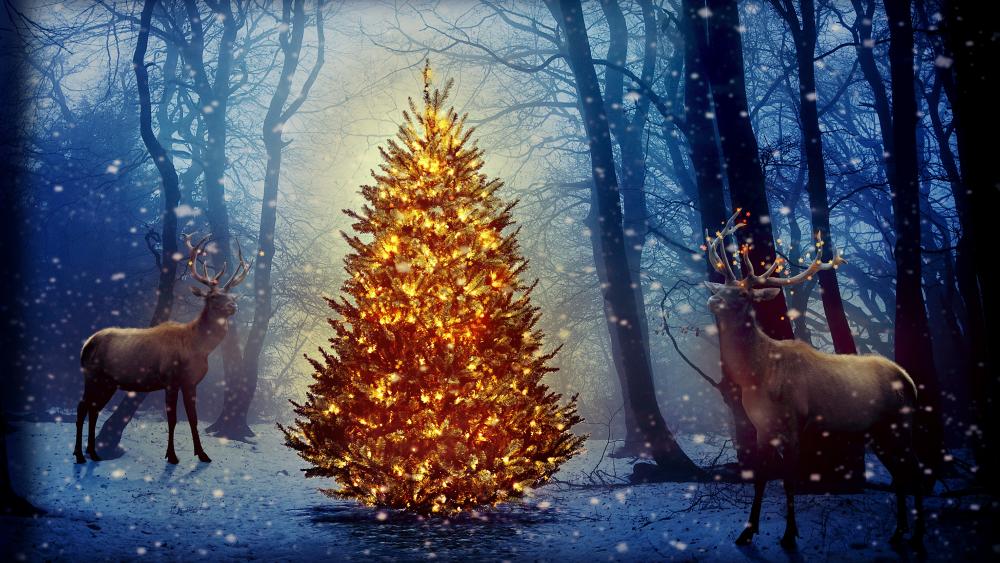 Enchanted Winter Deer by Illuminated Tree wallpaper
