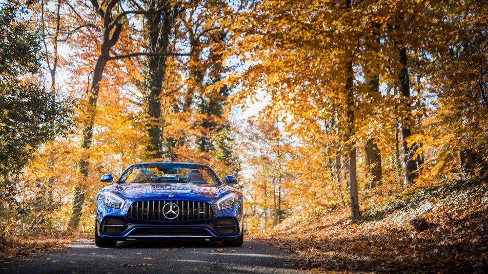 Autumn Drive in a Luxury Mercedes-Benz AMG GT wallpaper