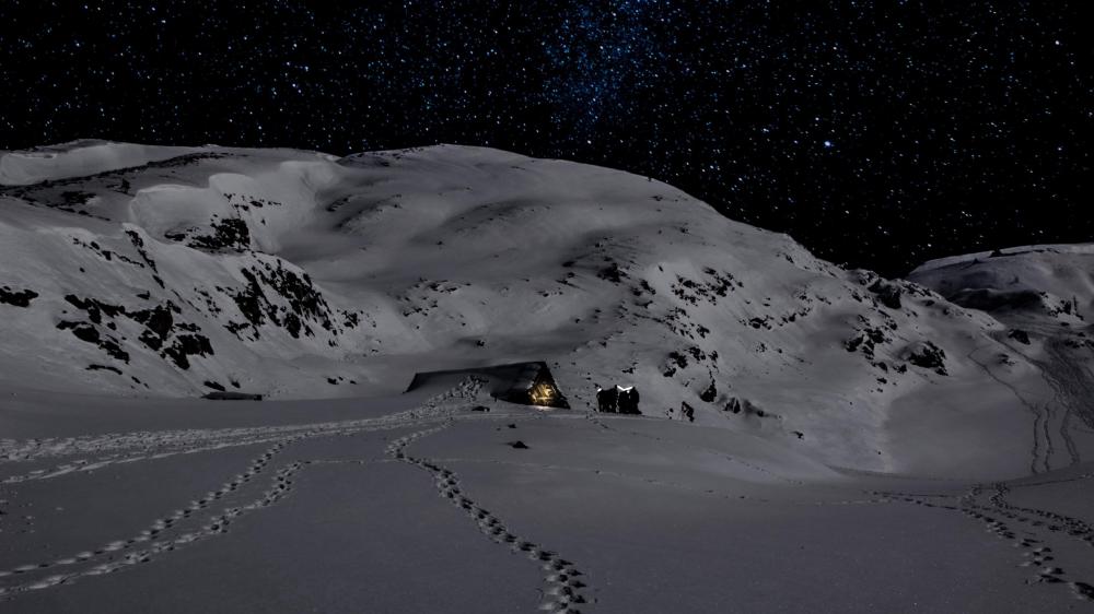 Starry Night Over Snowy Solitude wallpaper
