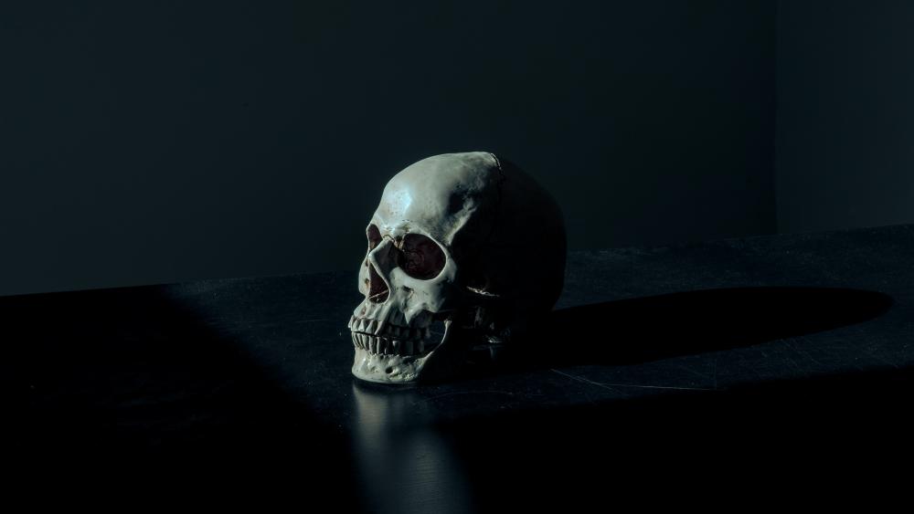 Mysterious Skull in Shadows wallpaper