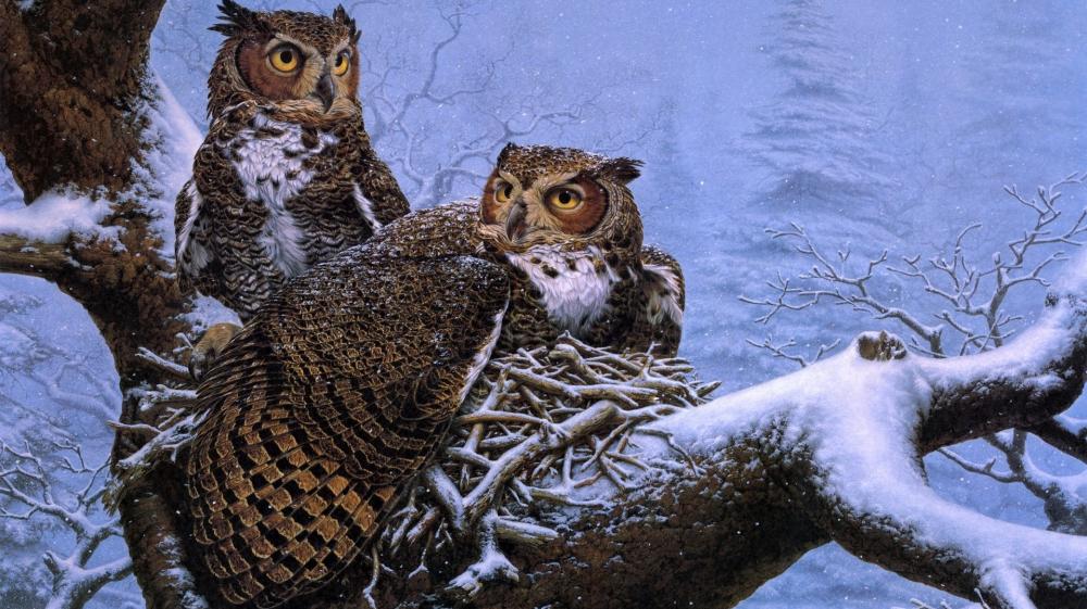 Majestic Owls in Winter Wonderland wallpaper