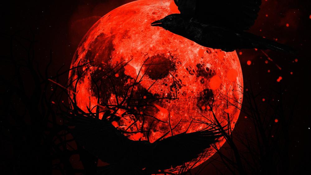 Crimson Moon with Crow Silhouette wallpaper