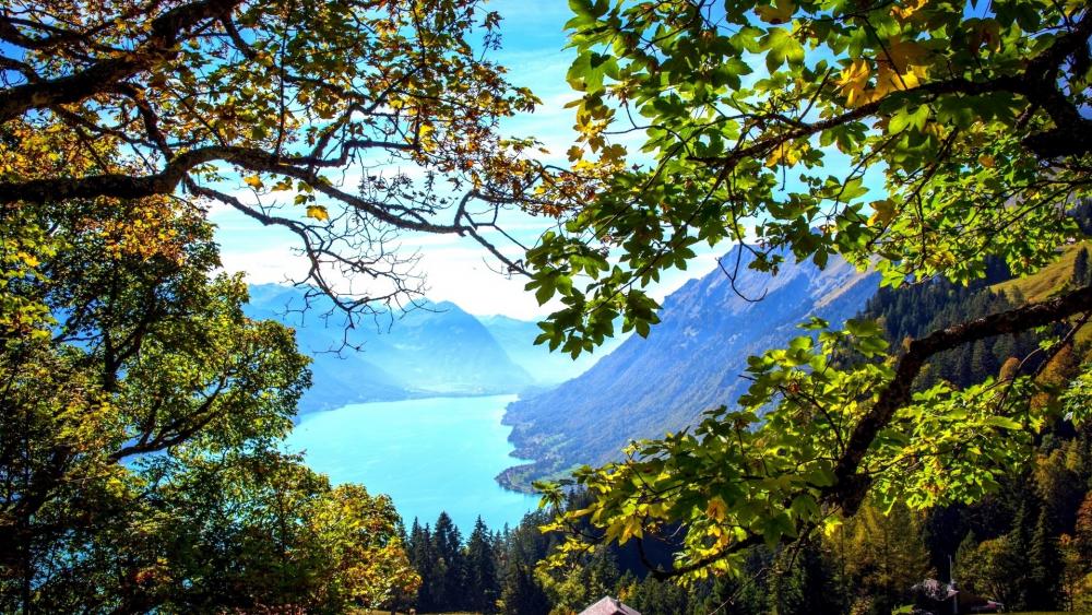 Lake Brienz - Switzerland wallpaper