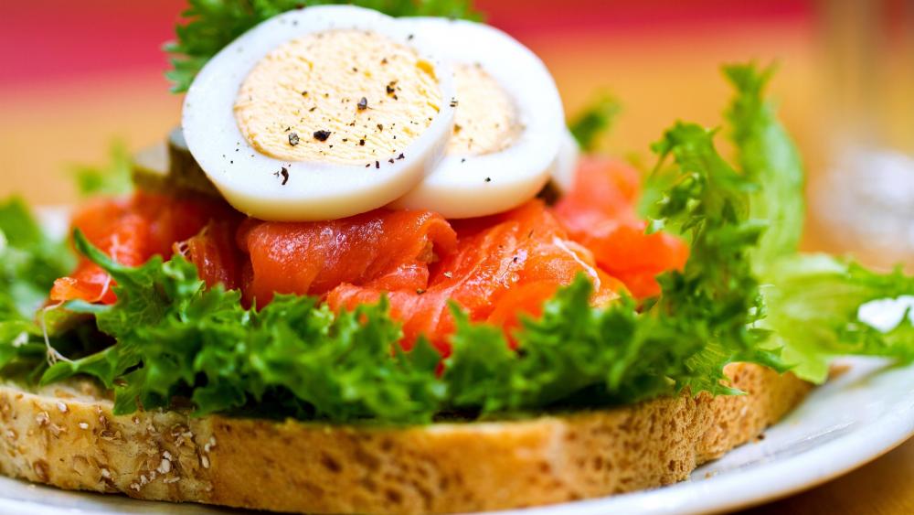 Fresh Salmon and Egg Open Sandwich wallpaper