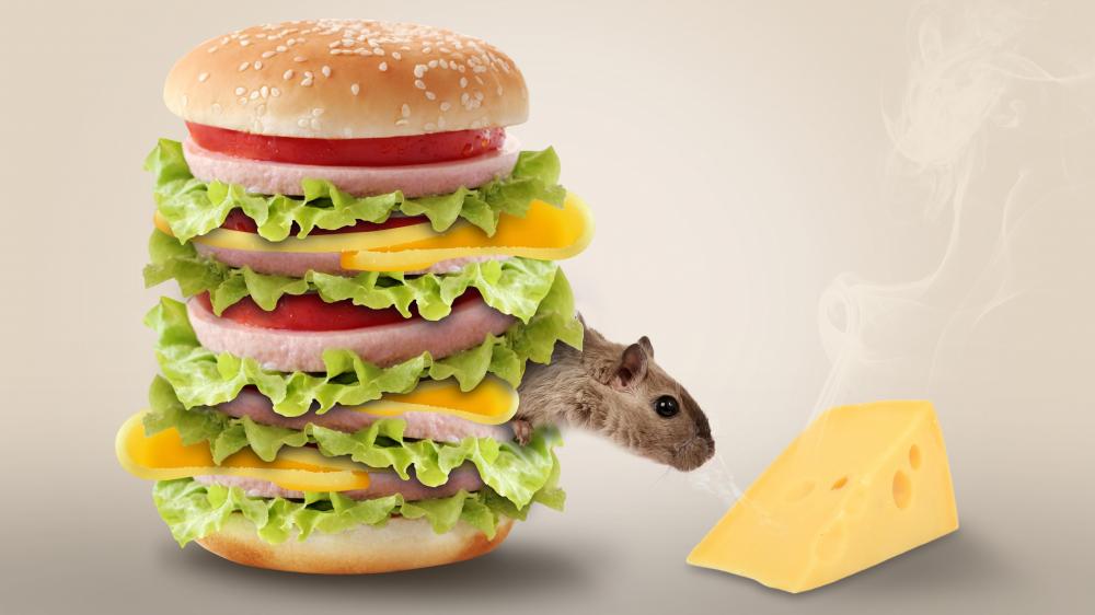 Tempting Cheeseburger and Curious Mouse wallpaper
