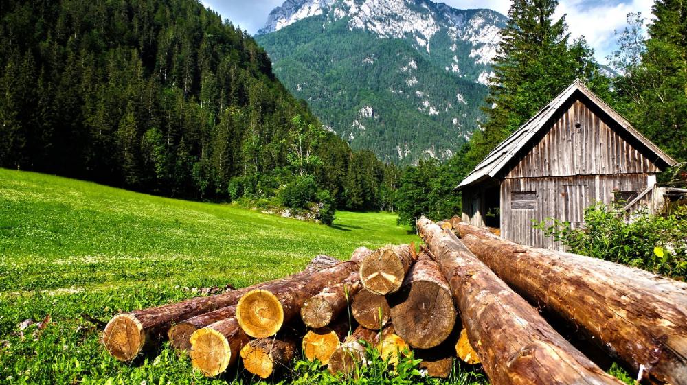 Rustic Cabin by Mountain Forest wallpaper