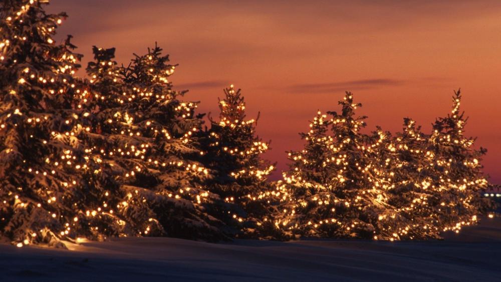 Twinkling Christmas Lights Amidst Snowy Twilight wallpaper