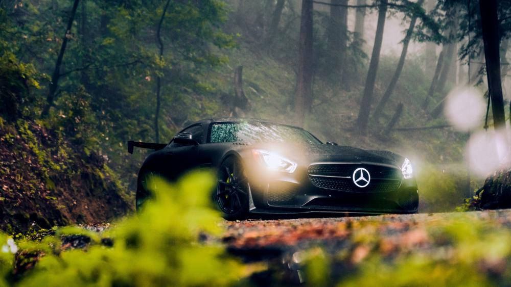 Mercedes In meadows, foggy drive moisture cool fresh Air wallpaper