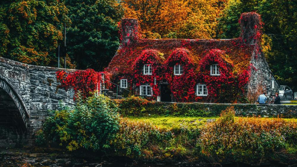 Autumn Enchantment at the Ivy-Covered Cottage wallpaper