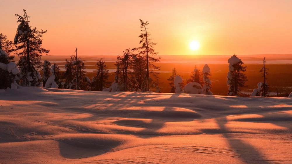 Winter's Warm Glow at Dusk wallpaper