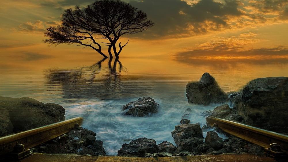 Golden Sunset Serenity by the Water wallpaper