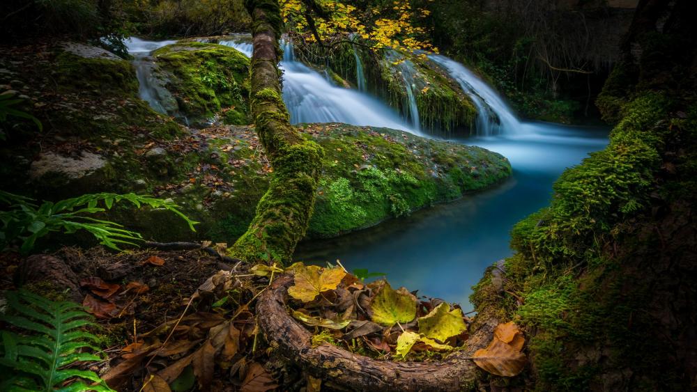 Enchanted Forest Waterfall Serenity wallpaper