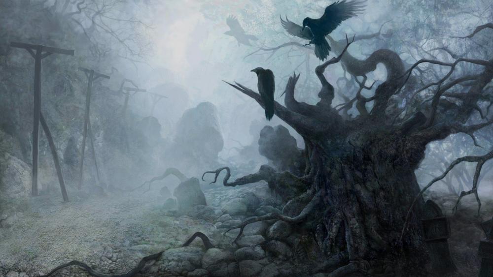 Mystical Forest Awakening wallpaper