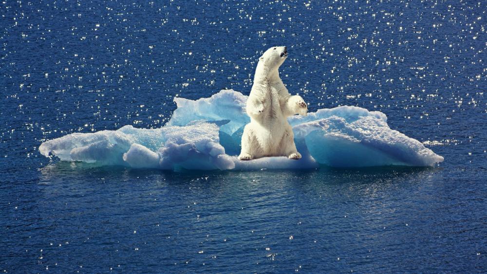 Polar Bear's Arctic Voyage wallpaper